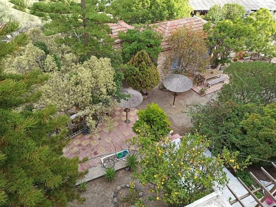 Anatoli Hotel Agia Marina  Екстериор снимка