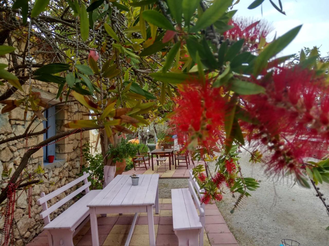 Anatoli Hotel Agia Marina  Екстериор снимка